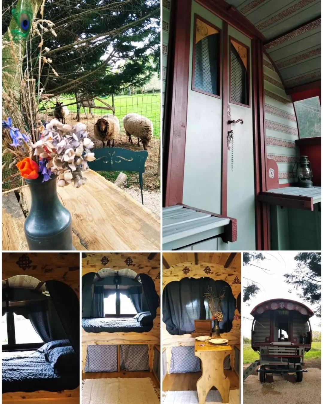 Отель Roulotte Irlandaise Polly Saint-Vincent-en-Bresse Экстерьер фото
